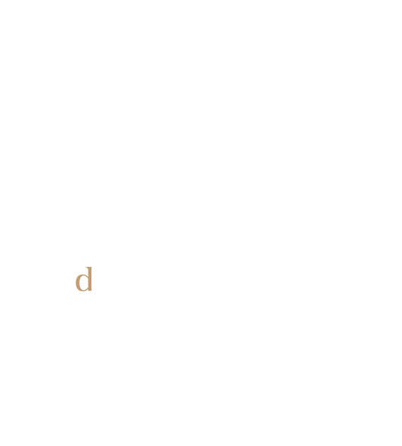 dluxuss social presence logo