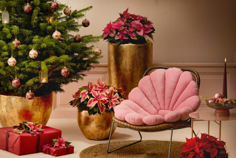 charlotte cowell h7T5TLD6fKk unsplash selling your home during the holidays with elegant neutral holiday decor in a luxury living space